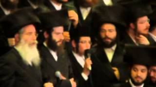 Viznitz Vien Bar Mitzvah Wonderboy singing Chasdei Hashem [upl. by Nahtannoj]