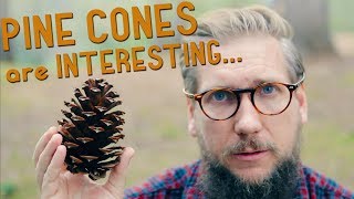 I never knew this about PINE CONES [upl. by Ssew]