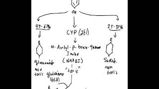 Acetaminophen Toxicity [upl. by Bolten]