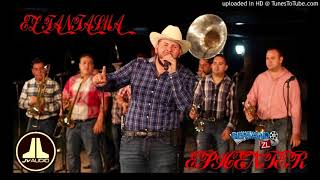 el fantasmacon banda y tuba mix epicenter by jv [upl. by Laehcor]