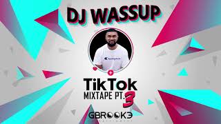 TikTok With DjWassup Pt 3 [upl. by Westney178]