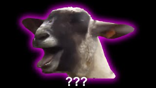 15 Screaming Goat Sound Variations in 30 Seconds [upl. by Ileane]