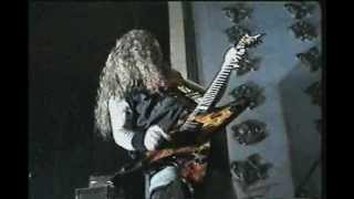 DIMEVISION  Dimebag Darrell Documentary  Full DvD [upl. by Nylkoorb]