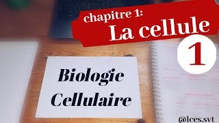 Chapitre 1  La cellule les procaryotes [upl. by Fisch]