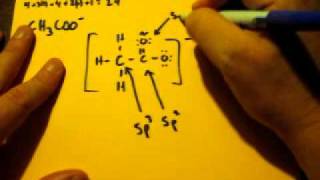 Lewis Dot Structure of CH3COO acetate ion [upl. by Malva]