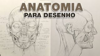 DESVENDANDO o Estudo de ANATOMIA Humana para Artistas  AULA1 [upl. by Pedro]