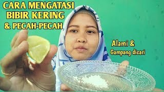 CARA MELEMBABKAN BIBIR KERING PECAHPECAH [upl. by Teloiv559]