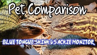 Ackie Monitor VS Blue Tongue Pet Comparison [upl. by Attenoj214]