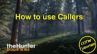 theHunter Call of the Wild  How to use Callers [upl. by Aiveneg504]