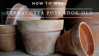 How to Make Terra Cotta Pots Look Old  Instantly Aged Terracotta Planter Pots using Paint [upl. by Yrtnahc654]