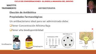 Mastitis Bovina Tratamiento Parte 2 Objetivos de la Antibioterapia y Elección del Antibiótico [upl. by Chrisman]