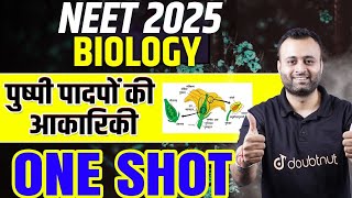 NEET 2025 Biology Morphology of Flowering Plants One Shot पुष्पी पादपों की आकारिकी neet2025biology [upl. by Eseneg]