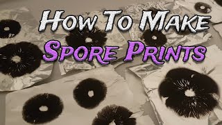 How To Create Mushroom Spore Prints [upl. by Sousa]