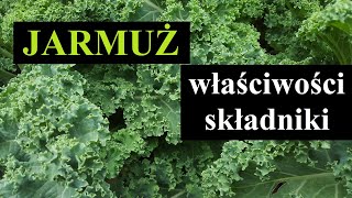 JARMUŻ  właściwości składniki odżywcze [upl. by Burleigh]