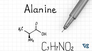 Alanine Amino Acid alanine protein biomolecule podcast aminoacids biomolecules protein [upl. by Sonitnatsnoc]