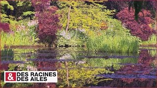 Le jardin de Monet à Giverny [upl. by Marya]