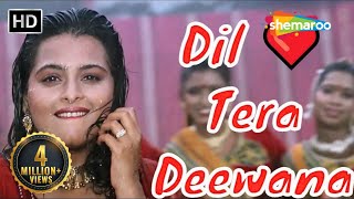 Dil Tera Deewana Hai  Kumar Sanu Hit songs  Sunil Shetty  Shilpa Shirodkar  Raghuveer [upl. by Namref855]