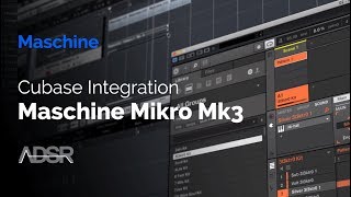 Cubase amp Maschine Mikro MK3 Integration [upl. by Anaeirb106]