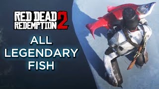 Red Dead Redemption 2  All Legendary Fish amp Fisher of Fish mission [upl. by Lleryd]