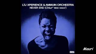 LTJ XPERIENCE AMMUIN ORCHESTRA  Never End  Radio Version [upl. by Dhumma330]