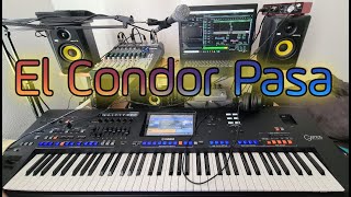 El Cóndor Pasa  Live [upl. by Nerte374]