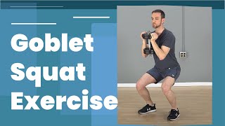 Goblet Squat  Total Body Exercise [upl. by Lyontine]