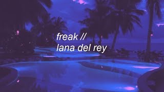 freak  lana del rey lyrics [upl. by Block]