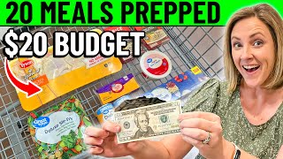 Budget Meal Prep 20 Meals for 20 [upl. by Eeraj247]