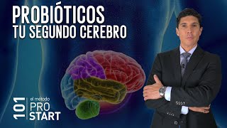 Probióticos  Tu segundo cerebro y tu salud mental [upl. by Ellainad]