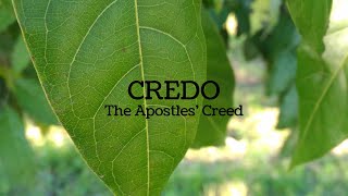 The Apostles Creed Credo [upl. by Nylarat820]