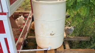 Gravity Fed Chicken Waterer [upl. by Nnaarat]