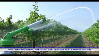 FONDI PER AGRICOLTURA 60 MILIONI DI EURO DI RISTORI PER LE AZIENDE SICILIANE [upl. by Netta]