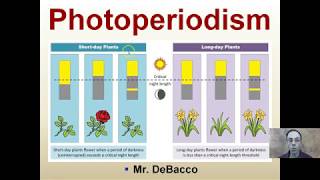 Photoperiodism [upl. by Tuhn]