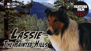 Lassie The Painted Hills 1951  Family Movie  Full Lenght  For Free  Classic Lassie Series [upl. by Topping665]