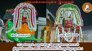 Patteeswaram  Sri Dhenupureeswarar  Vaikasi Visakam  Day 3 Bootha Kili Vahanam LordAlmighty Tamil [upl. by Linder903]