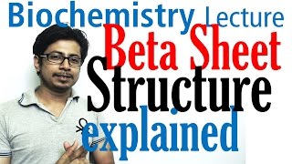 Beta sheet structure of proteins [upl. by Richard]