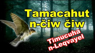 Tamacahut n čiw čiw [upl. by Kieran]