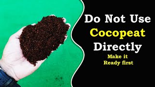 How to use cocopeat for growing plants  part 1 [upl. by Annayk]