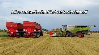 Die Landwirtschaft in Ostdeutschland [upl. by Estrella]