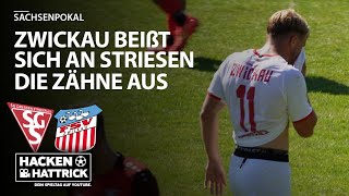 SG Dresden Striesen vs FSV Zwickau  Highlights 2 Runde Sachsenpokal [upl. by Moshell]