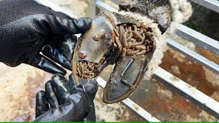 CutTrim and Cleaning The Shocking Truth About Hoof Trimming in Cows [upl. by Reiner]