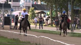 Guðmundur Einarsson P1 World record WC Icelandic Horses IslandpferdeWM VM Islandshästar 2015 [upl. by Sirron]