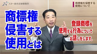 商標権を侵害する使用【登録商標・商標権侵害・商標の機能】 [upl. by Ycats354]