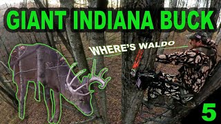 GIANT Indiana Buck Inside Bow Range Twice In One Day [upl. by Liebowitz]