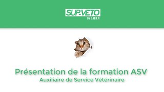 SupVeto Présentation ASV  Auxiliaire de Service Vétérinaire [upl. by Fachini]