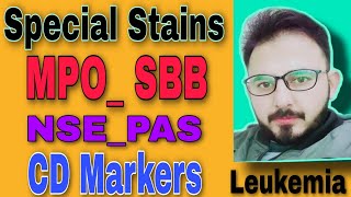 Special Stains and CD Markers For Leukemia [upl. by Sawtelle]