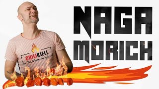 Naga morich  Will i manage 7 in 10 minutes [upl. by Einwahr]