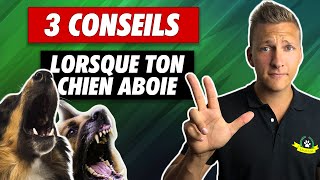 Chien qui aboie  comment faire arrêter les aboiements de votre chien [upl. by Tuesday890]