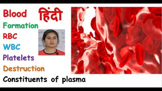 Blood anatomy amp physiology in hindi  RBC  WBC  Platelets  composition of blood [upl. by Conlee183]