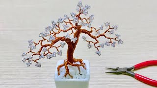 How to Make a Juniper Bonsai [upl. by Arreyt122]